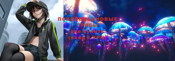 гидропоника Алзамай