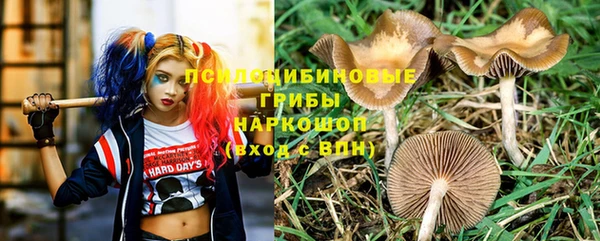 шишки Абинск