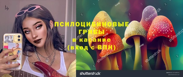 гидропоника Алзамай